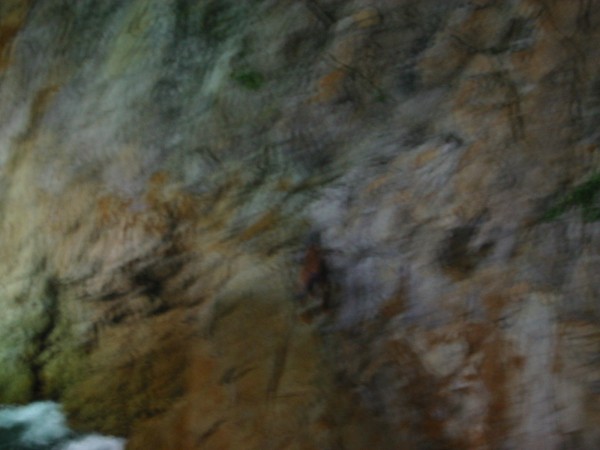 Click for the original image