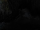 IMG_1336 * 1600 x 1200 * (197KB)