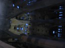 IMG_1448 * 1600 x 1200 * (347KB)