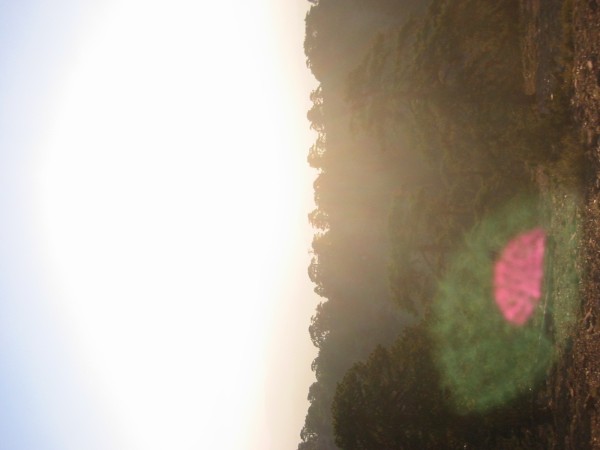 Click for the original image
