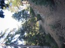 IMG_3059 * 1600 x 1200 * (708KB)