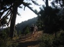 IMG_3062 * 1600 x 1200 * (628KB)