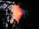 IMG_3095 * 1600 x 1200 * (341KB)
