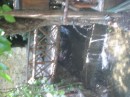 IMG_3105 * 1600 x 1200 * (459KB)
