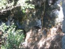 IMG_3106 * 1600 x 1200 * (675KB)