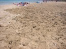 IMG_2966 * 1600 x 1200 * (857KB)