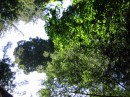 IMG_2677 * 1600 x 1200 * (1004KB)