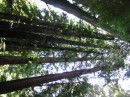 IMG_2683 * 1600 x 1200 * (777KB)
