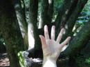 IMG_2695 * 1600 x 1200 * (541KB)