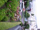 IMG_2704 * 1600 x 1200 * (580KB)
