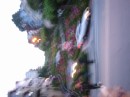 IMG_2708 * 1600 x 1200 * (361KB)