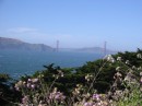 IMG_2733 * 1600 x 1200 * (547KB)
