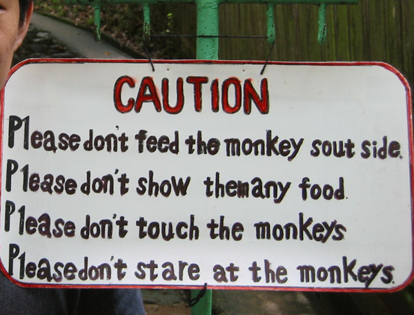 IMG_0036-copy_edited