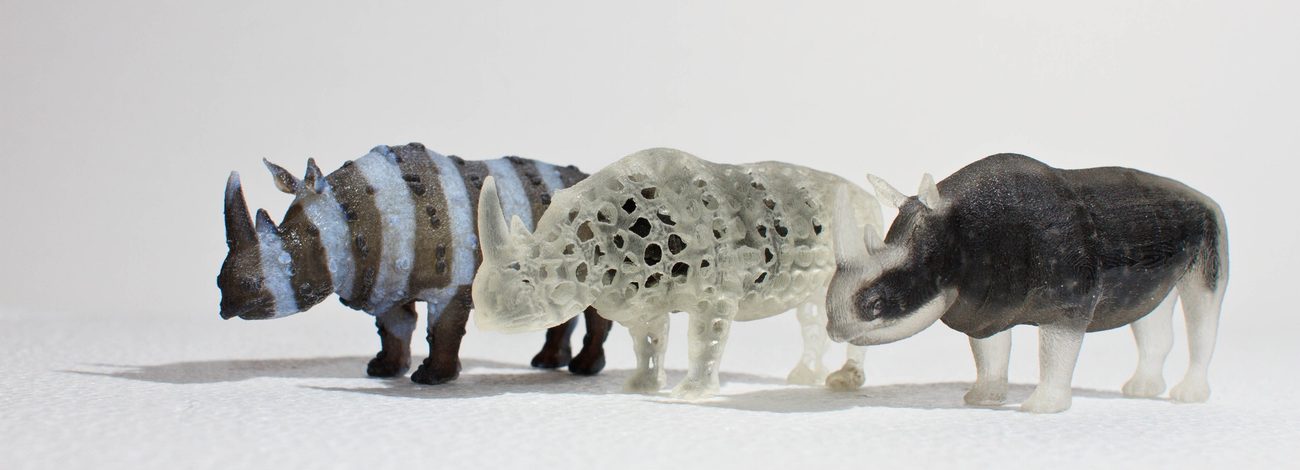 Multi-material 3D printed rhinoceros models with varying internal structure